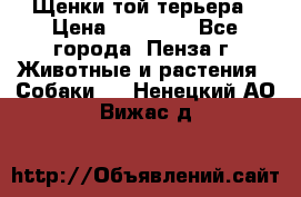 Щенки той терьера › Цена ­ 10 000 - Все города, Пенза г. Животные и растения » Собаки   . Ненецкий АО,Вижас д.